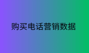 购买电话营销数据